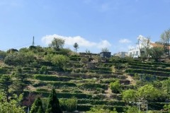 结束连败！曼城3比0轻取曼联，昔日红魔已经彻底沦为鱼腩？